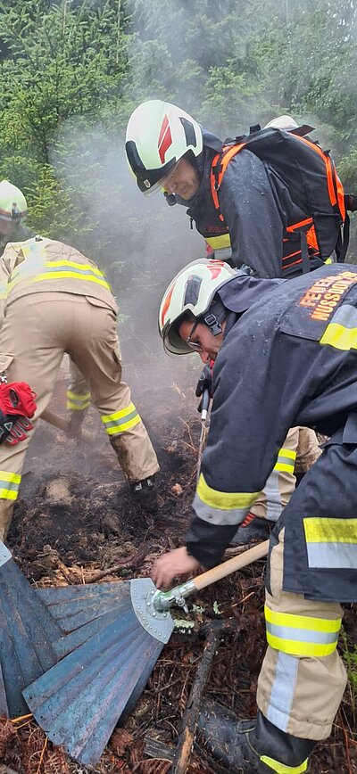 Waldbrand am Nußdorfer Berg