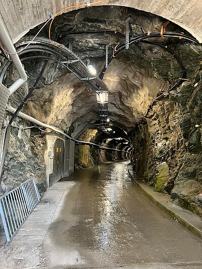 Kameradschaftsausflug Kaprun