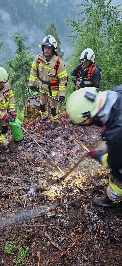 Waldbrand am Nußdorfer Berg