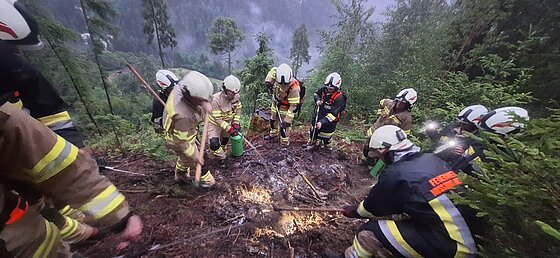 Waldbrand am Nußdorfer Berg