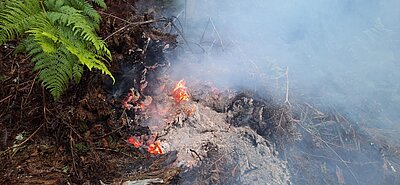 Waldbrand am Nußdorfer Berg